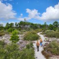 Unlocking the World of Free Workshops in Southeast Florida