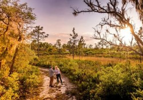 The Growing World of Workshops in Southeast Florida