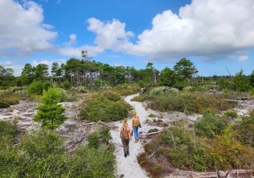 Unlocking the World of Free Workshops in Southeast Florida